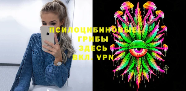 мет Каменногорск