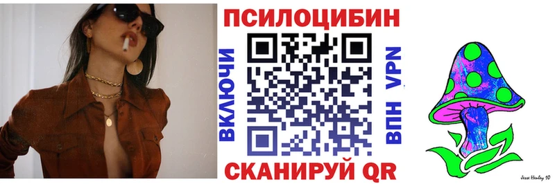 Купить где  Иланский  Галлюциногенные грибы мухоморы 